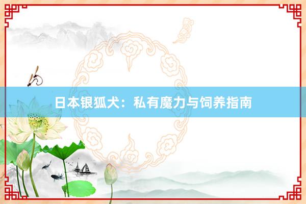 日本银狐犬：私有魔力与饲养指南